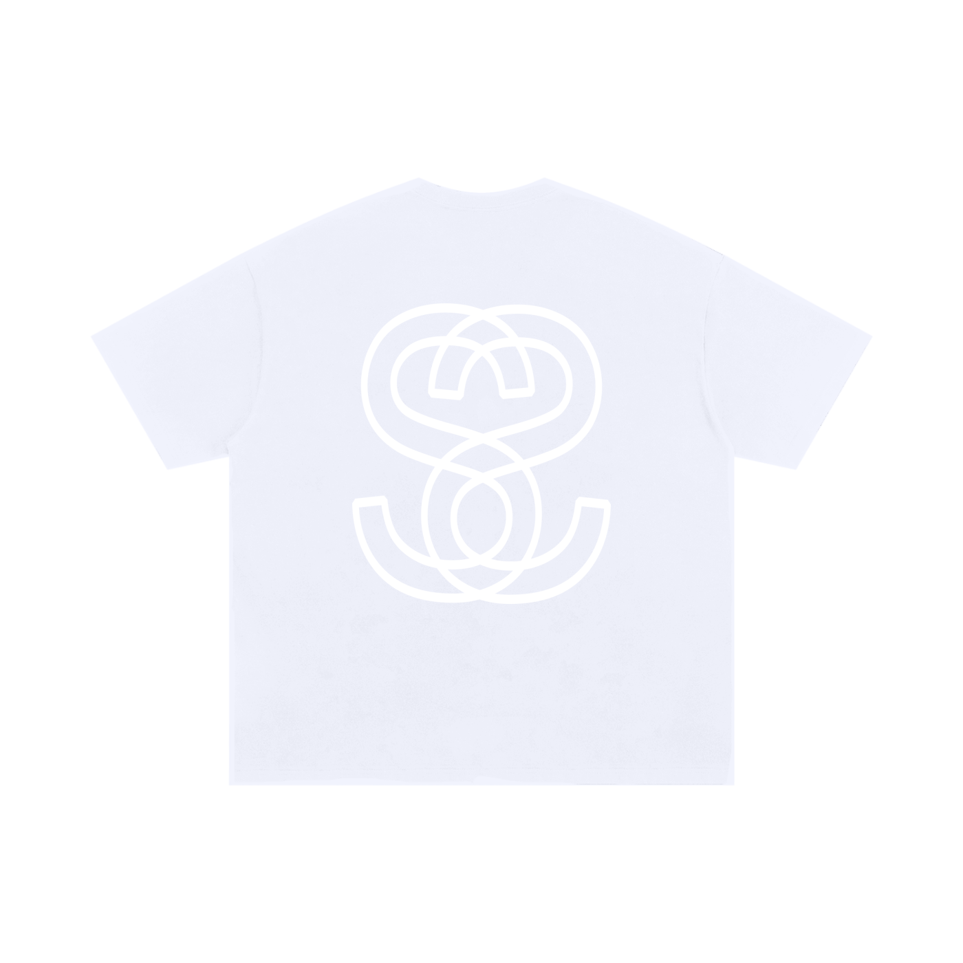 Unisex Oversized 100% Cotton T-Shirt – Swag Epic Original