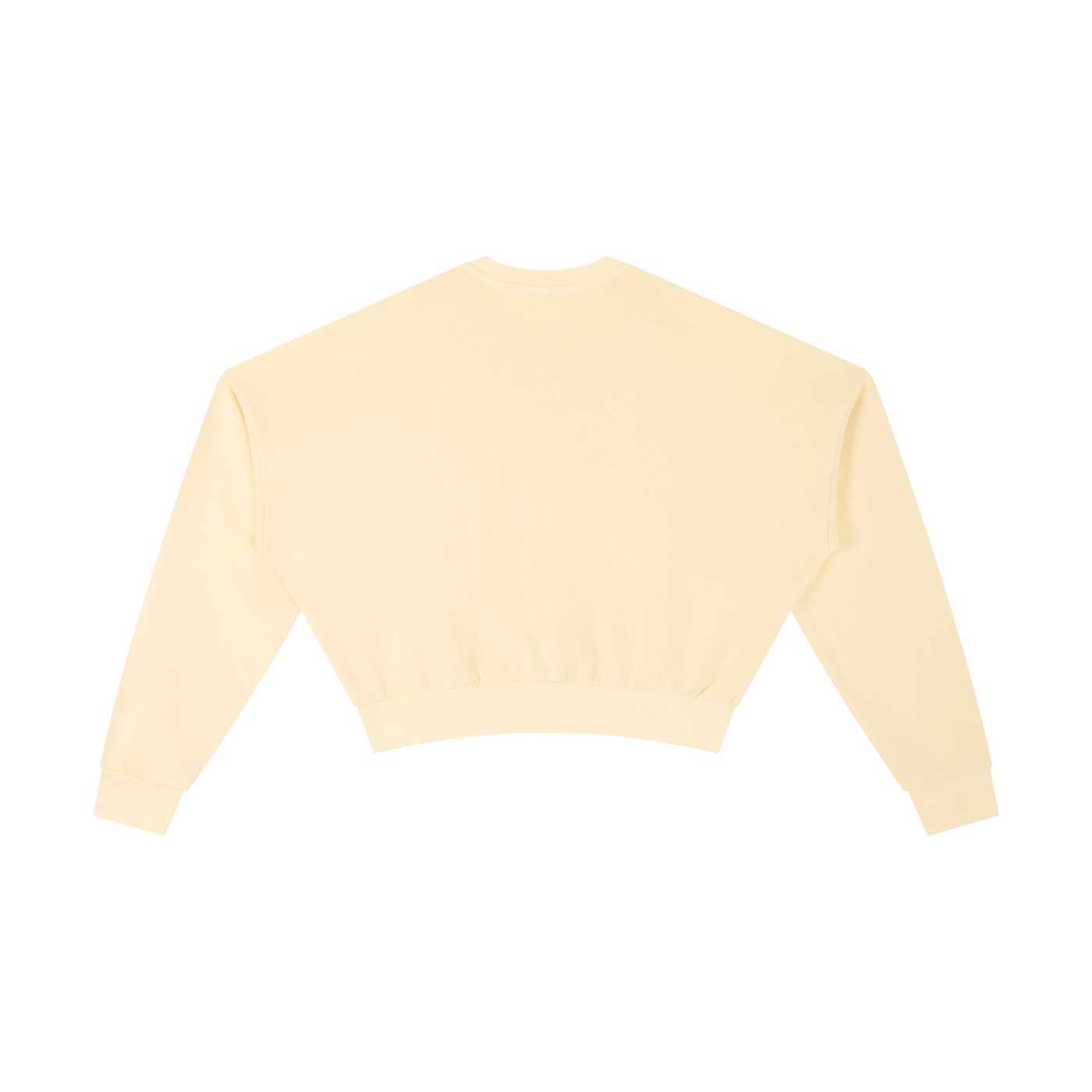 Vintage Washed Cropped Sweatshirt – Swag Ladies