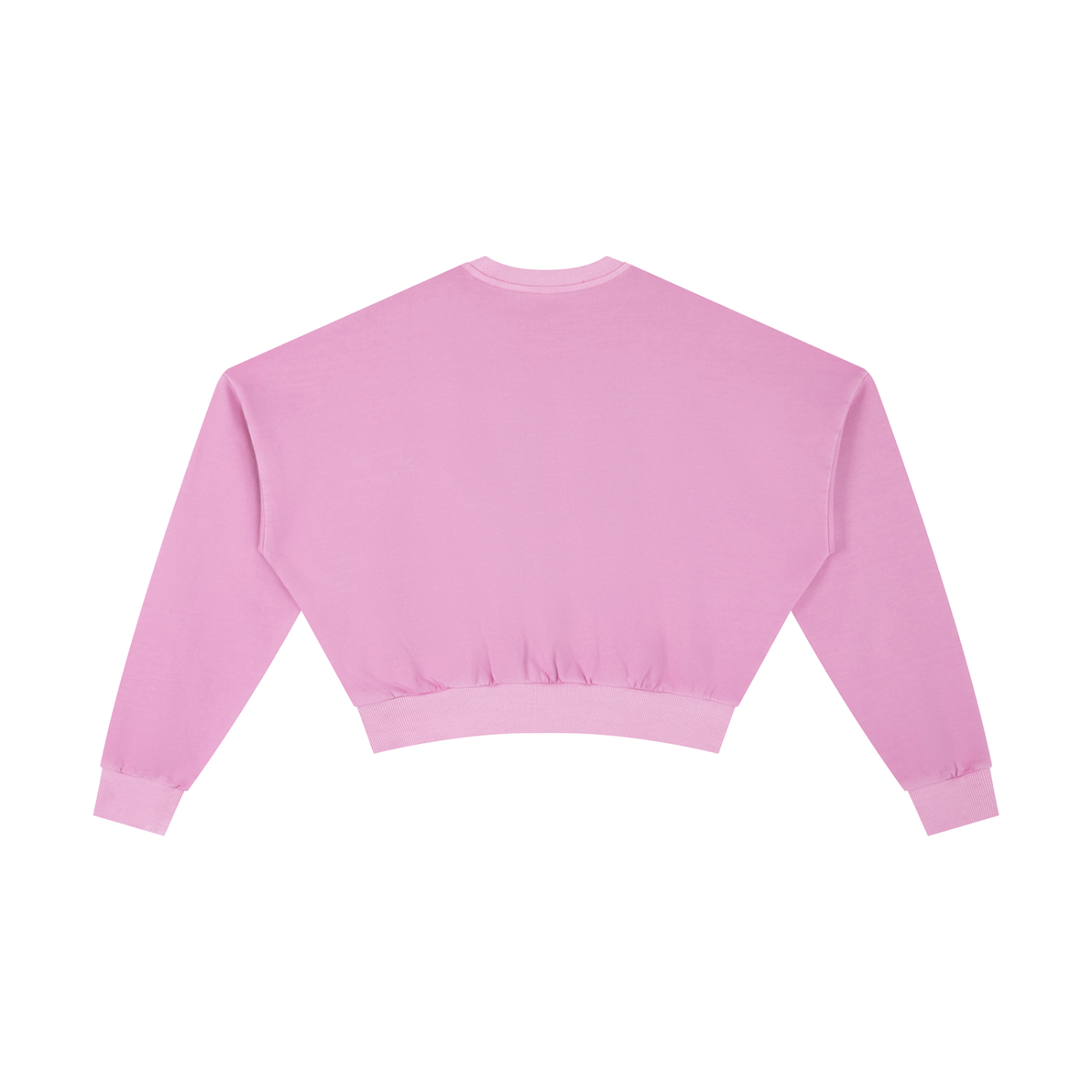 Vintage Washed Cropped Sweatshirt – Swag Ladies