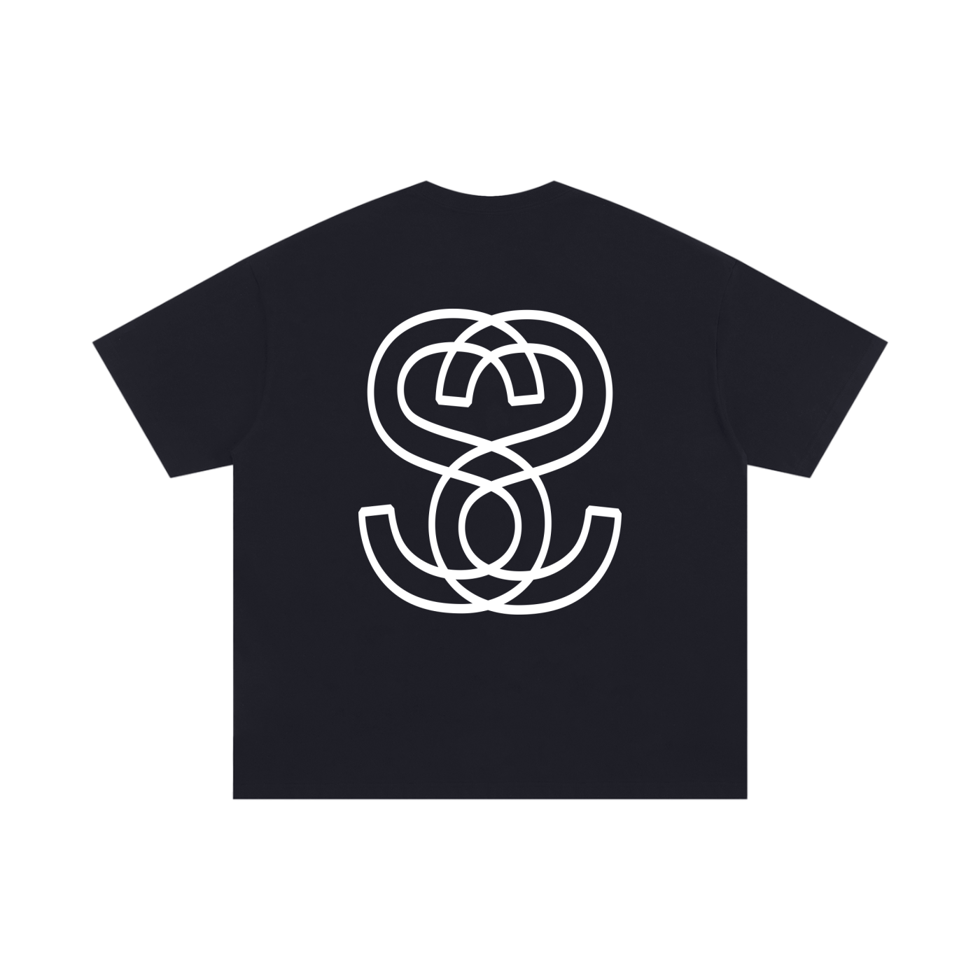Unisex Oversized 100% Cotton T-Shirt – Swag Epic Original